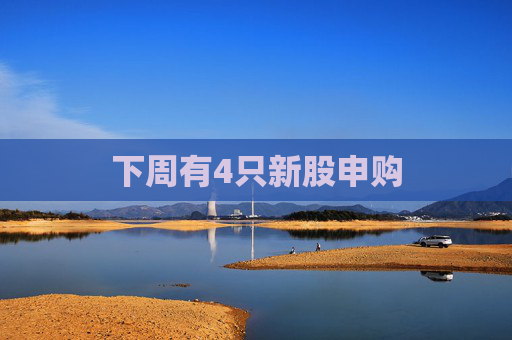 下周有4只新股申购