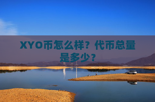 XYO币怎么样？代币总量是多少？