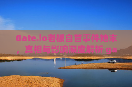 Gate.io老板自首事件始末，真相与影响深度解析 gate.io老板自首是哪一集