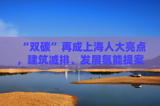 “双碳”再成上海人大亮点，建筑减排、发展氢能提案引关注