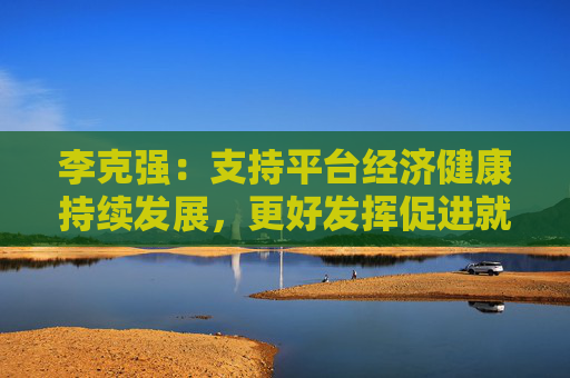 李克强：支持平台经济健康持续发展，更好发挥促进就业和消费等作用