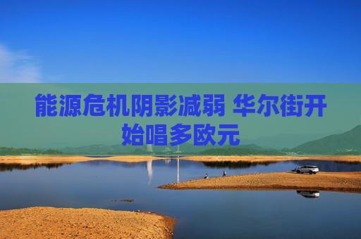 能源危机阴影减弱 华尔街开始唱多欧元