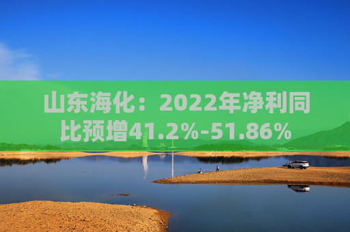 山东海化：2022年净利同比预增41.2%-51.86%