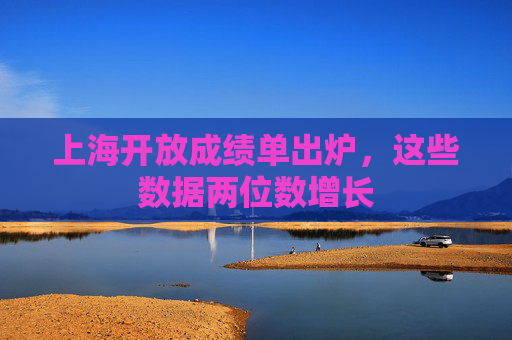 上海开放成绩单出炉，这些数据两位数增长