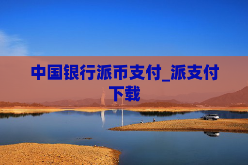 中国银行派币支付_派支付下载