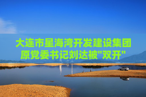 大连市星海湾开发建设集团原党委书记刘达被