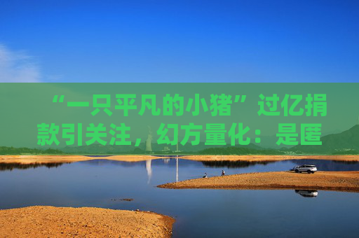 “一只平凡的小猪”过亿捐款引关注，幻方量化：是匿名捐款