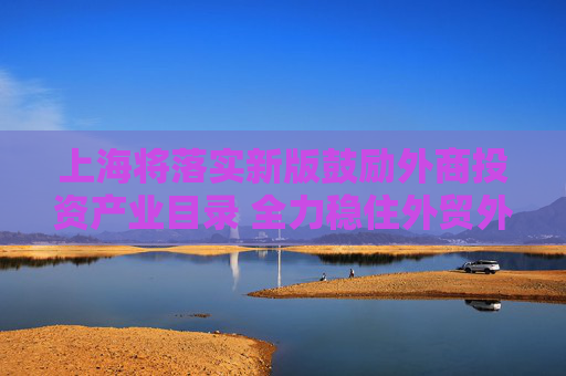 上海将落实新版鼓励外商投资产业目录 全力稳住外贸外资基本盘