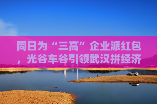 同日为“三高”企业派红包，光谷车谷引领武汉拼经济
