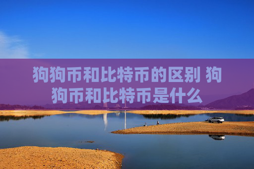 狗狗币和比特币的区别 狗狗币和比特币是什么