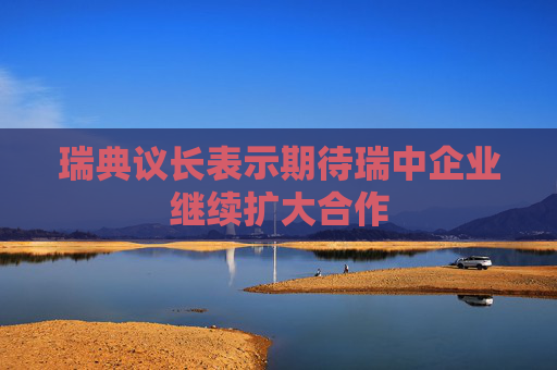 瑞典议长表示期待瑞中企业继续扩大合作
