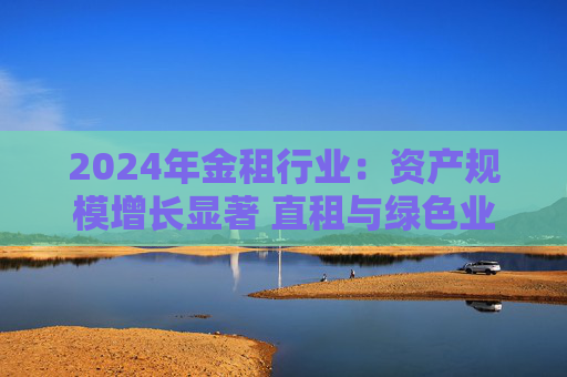 2024年金租行业：资产规模增长显著 直租与绿色业务成亮点