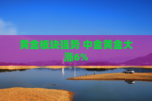 黄金板块强势 中金黄金大涨6%