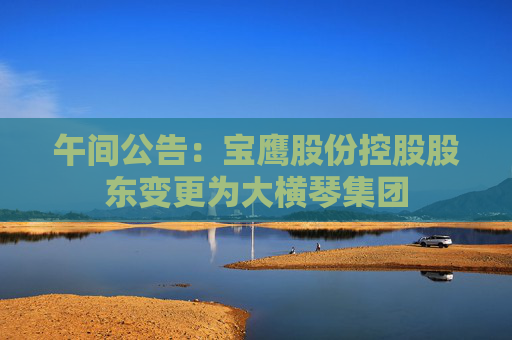 午间公告：宝鹰股份控股股东变更为大横琴集团