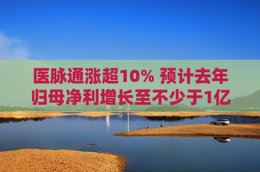 医脉通涨超10% 预计去年归母净利增长至不少于1亿元