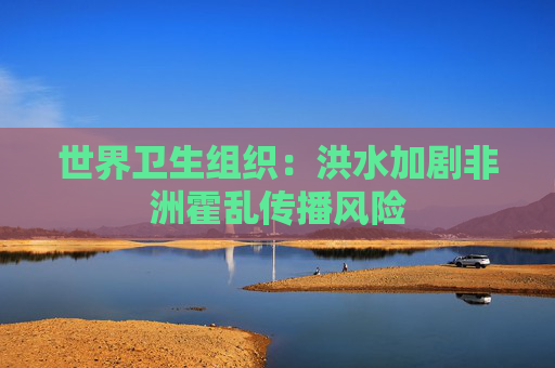 世界卫生组织：洪水加剧非洲霍乱传播风险