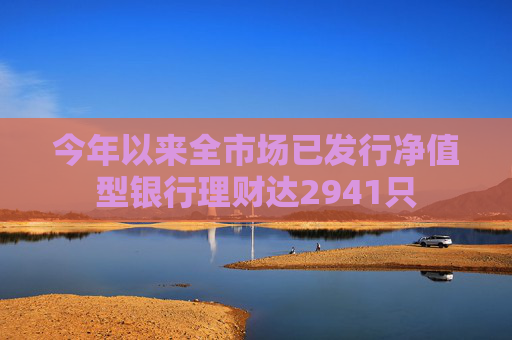 今年以来全市场已发行净值型银行理财达2941只