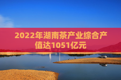 2022年湖南茶产业综合产值达1051亿元