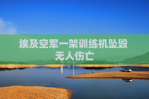 埃及空军一架训练机坠毁 无人伤亡