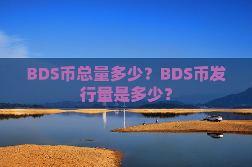 BDS币总量多少？BDS币发行量是多少？