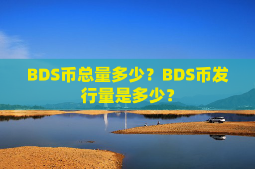 BDS币总量多少？BDS币发行量是多少？