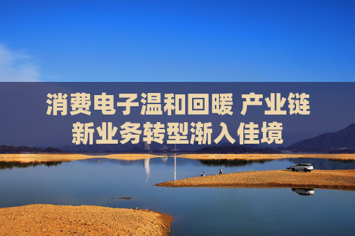 消费电子温和回暖 产业链新业务转型渐入佳境