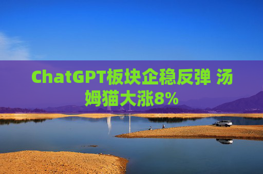 ChatGPT板块企稳反弹 汤姆猫大涨8%