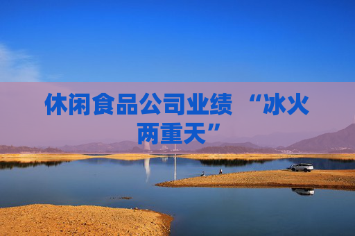休闲食品公司业绩 “冰火两重天”