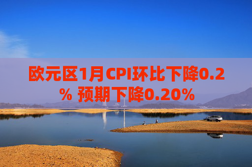 欧元区1月CPI环比下降0.2% 预期下降0.20%