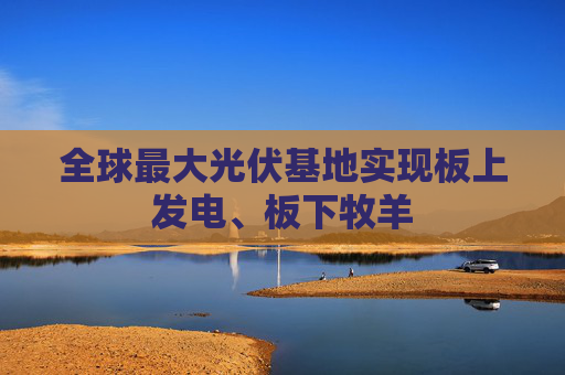 全球最大光伏基地实现板上发电、板下牧羊