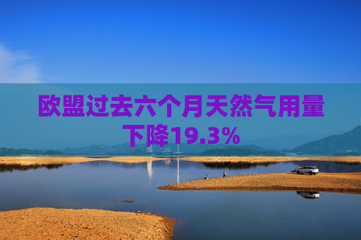 欧盟过去六个月天然气用量下降19.3%