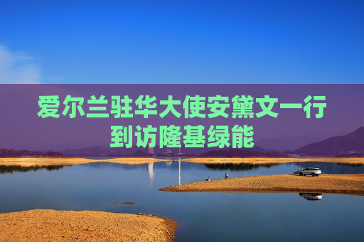 爱尔兰驻华大使安黛文一行到访隆基绿能