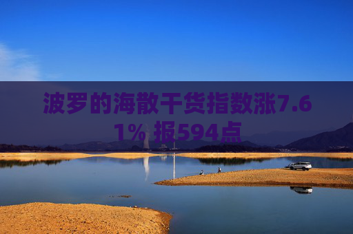 波罗的海散干货指数涨7.61% 报594点