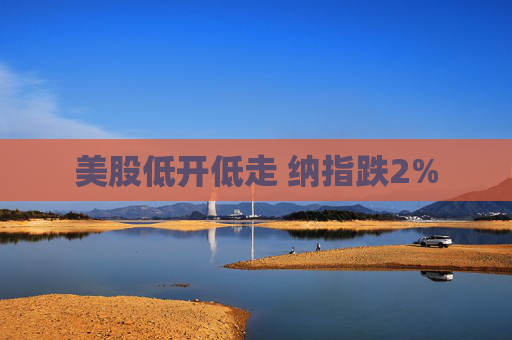 美股低开低走 纳指跌2%