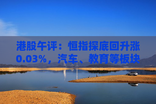 港股午评：恒指探底回升涨0.03%，汽车、教育等板块下挫