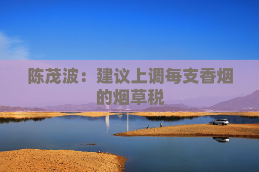 陈茂波：建议上调每支香烟的烟草税