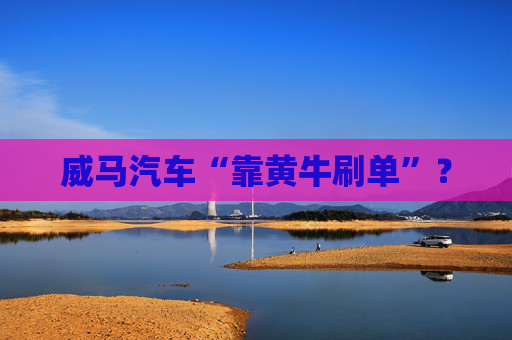 威马汽车“靠黄牛刷单”？