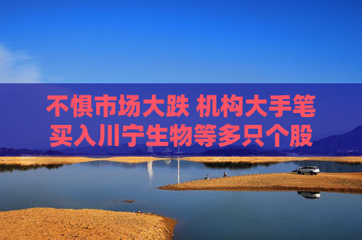 不惧市场大跌 机构大手笔买入川宁生物等多只个股