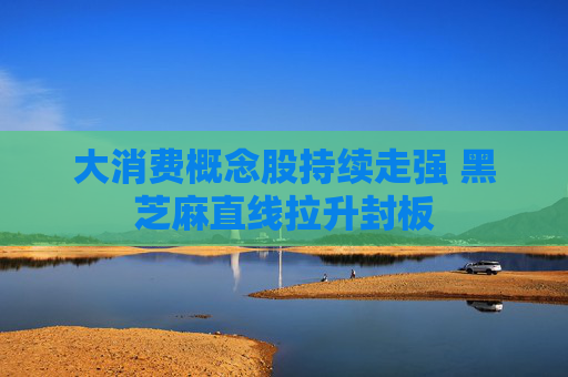 大消费概念股持续走强 黑芝麻直线拉升封板