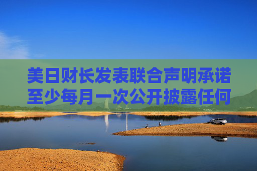美日财长发表联合声明承诺至少每月一次公开披露任何外汇干预操作