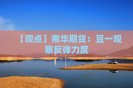 【观点】南华期货：豆一观察反弹力度