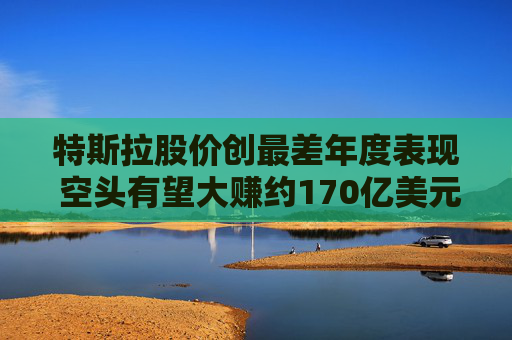 特斯拉股价创最差年度表现 空头有望大赚约170亿美元利润