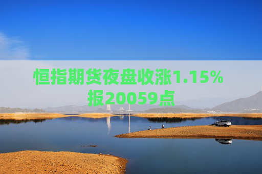 恒指期货夜盘收涨1.15% 报20059点