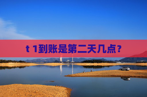 t 1到账是第二天几点？