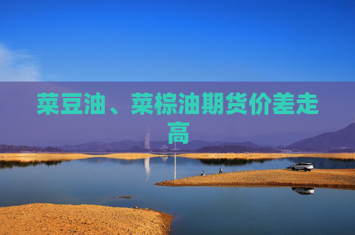 菜豆油、菜棕油期货价差走高