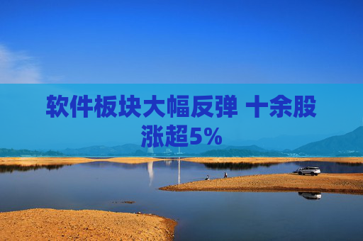 软件板块大幅反弹 十余股涨超5%