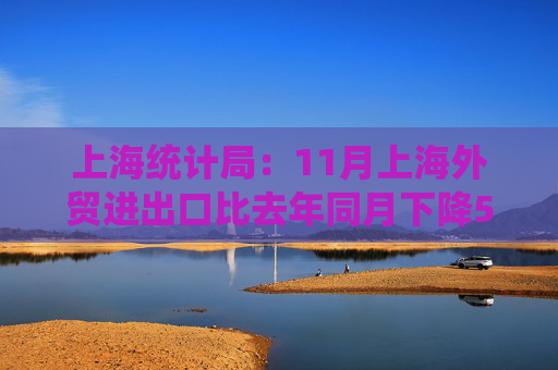 上海统计局：11月上海外贸进出口比去年同月下降5.7%