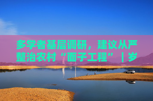 多学者基层调研，建议从严整治农村“面子工程”｜岁末话三农