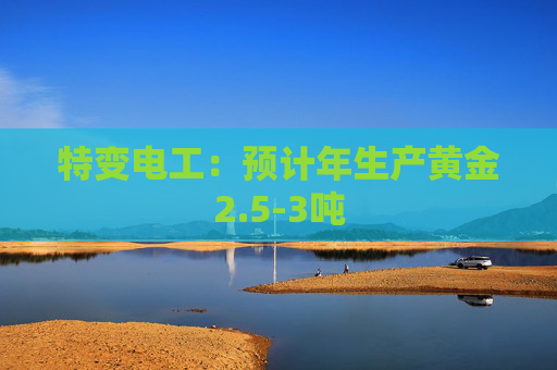 特变电工：预计年生产黄金2.5-3吨