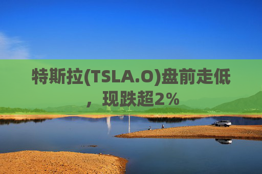 特斯拉(TSLA.O)盘前走低，现跌超2%